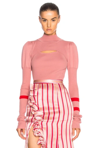 Shop Maggie Marilyn Hold Tight Knit Top In Pink,red