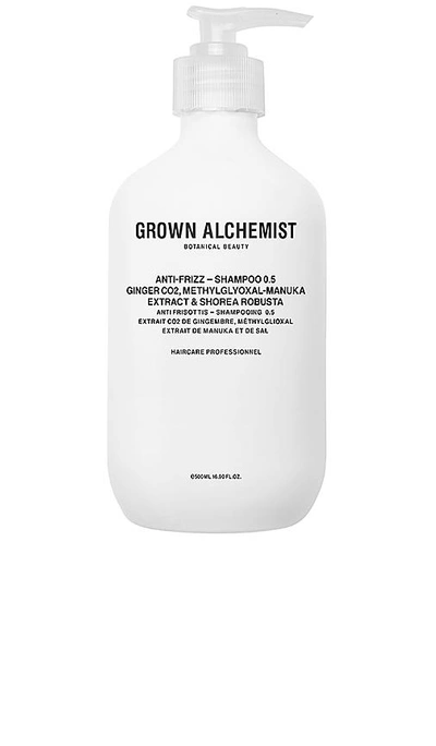 Shop Grown Alchemist Anti-frizz Shampoo 0.5 In Ginger Co2 & Methylglyoxal-manuka Extrac
