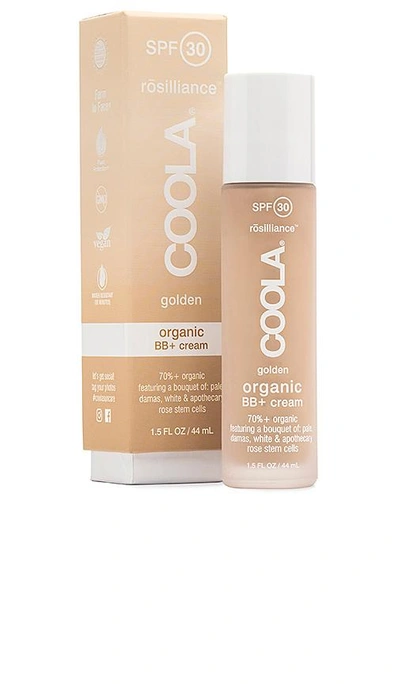 Shop Coola Rosilliance Tinted Moisturizer Organic Sunscreen Spf30 In Golden Hour