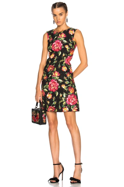 Shop Dolce & Gabbana Floral Sleeveless Mini Dress In Black,floral