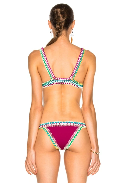 Shop Kiini Coco Bikini Top In Fuchsia Multi