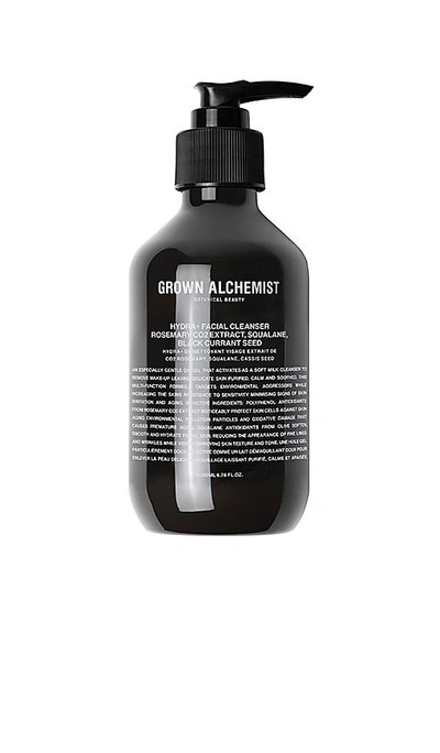 Shop Grown Alchemist Hydra+ Facial Cleanser In Rosemary Co2 Extract & Squalane & Black Currant Seed In Beauty: Na