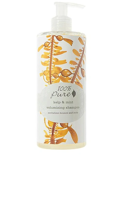 Shop 100% Pure Kelp & Mint Volumizing Shampoo In N,a