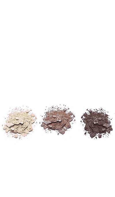 Shop Edward Bess Expert Edit Eyeshadow Trio In Cocoa Sublime