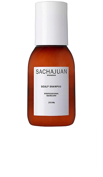 Shop Sachajuan Scalp Shampoo In N,a