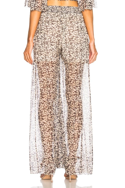 Shop Zimmermann Prima Cherry Pant In Abstract,black,neutrals