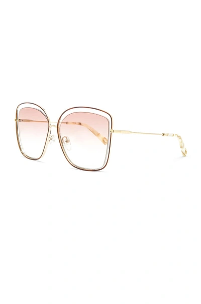 Shop Chloé Chloe Poppy Cat Eye Sunglasses In Brown