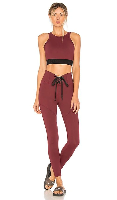 Shop Year Of Ours Claudia Bra In Burgundy