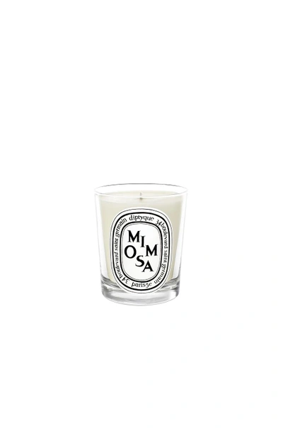 Shop Diptyque Mimosa Scented Candle In N,a