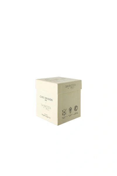 Shop Cire Trudon X Giambattista Valli Positano Classic Scented Candle