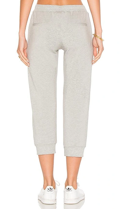 Shop David Lerner Cropped Trackpant In Gray