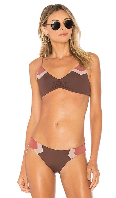 Shop L*space Haley Blocked Top In Brown