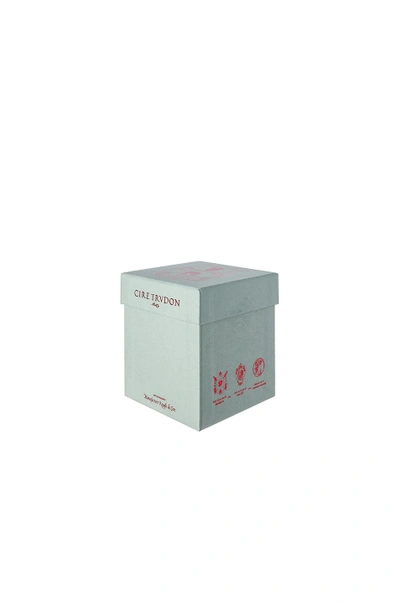 Cire Trudon Spiritus Sancti Classic Scented Candle In Spiritus Sancti