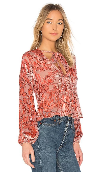 Shop Alexis Caprina Blouse In Pink