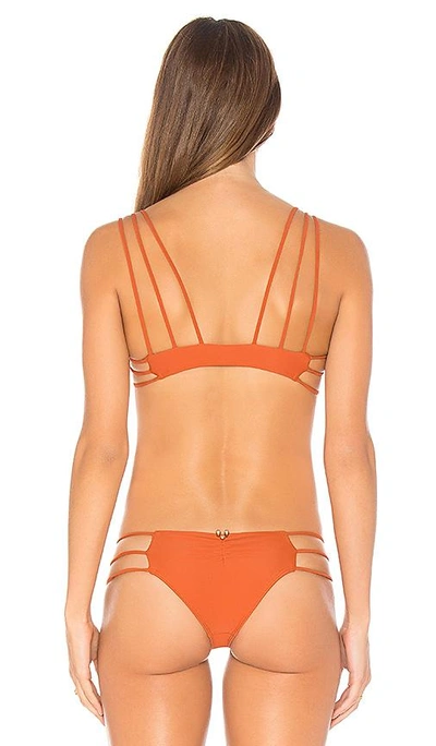 Shop Mia Marcelle Reina Bikini Top In Orange