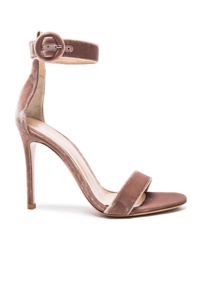 Shop Gianvito Rossi Velvet Portofino Heels In Pink