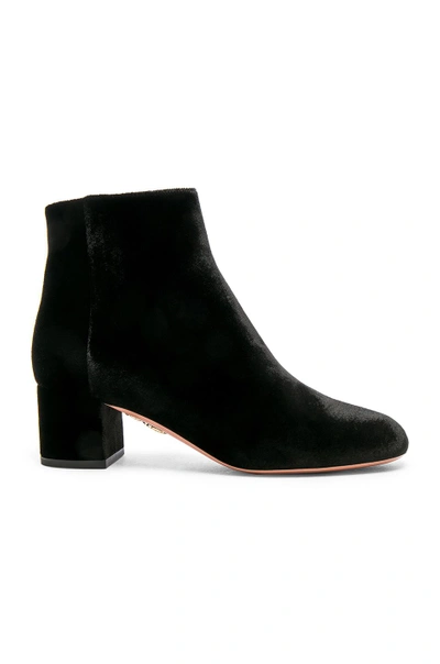 Shop Aquazzura Velvet Brooklyn Booties In Black