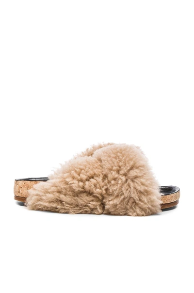 Shop Chloé Chloe Kerenn Shearling Fur Sandals In Neutrals