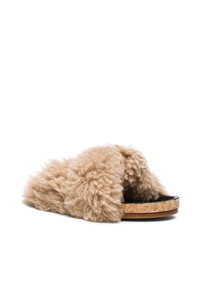 Shop Chloé Chloe Kerenn Shearling Fur Sandals In Neutrals
