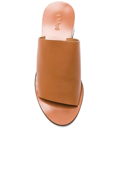 Shop Chloé Chloe Qassie Semi-shiny Calf Leather Mules In Brown