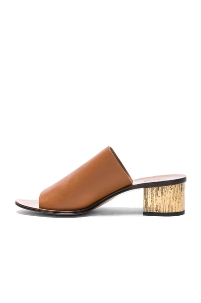 Shop Chloé Chloe Qassie Semi-shiny Calf Leather Mules In Brown