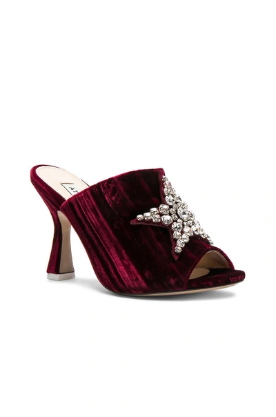 Shop Attico Velvet Debbie Mules With Star Embroidery In Red