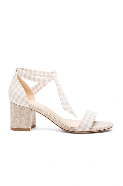 Shop Alexandre Birman Canvas Gingham Clarita Heels In Neutrals,checkered & Plaid