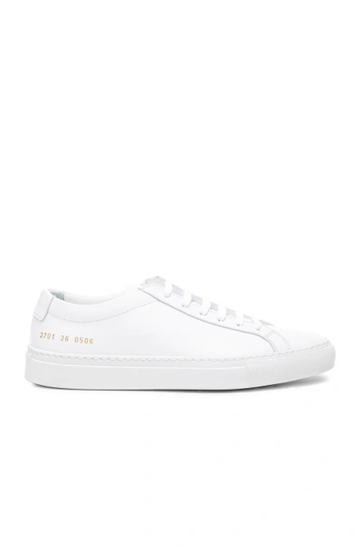 Shop Common Projects Leather Original Achilles Low In White