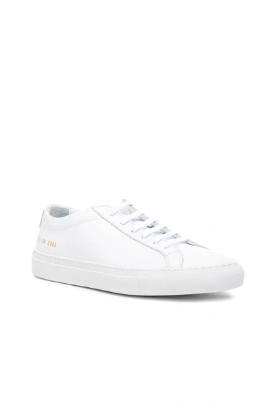 Shop Common Projects Leather Original Achilles Low In White