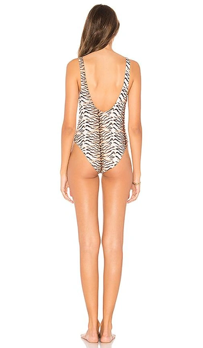 Shop Acacia Swimwear Palm Springs One Piece In Brown