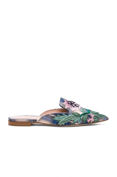 Shop Alberta Ferretti Flower Embroidered Plaid Mules In Blue & White