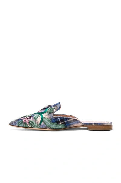 Shop Alberta Ferretti Flower Embroidered Plaid Mules In Blue & White