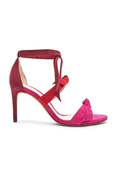 Shop Alexandre Birman Suede Lolita Heels In Pink,red