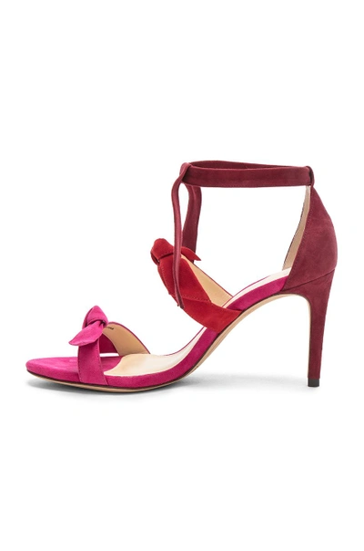 Shop Alexandre Birman Suede Lolita Heels In Pink,red