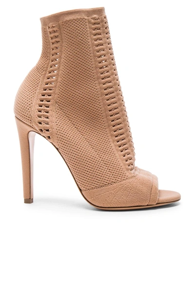 Shop Gianvito Rossi Knit Vires Booties In Neutrals