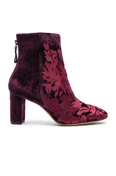 Shop Alexandre Birman Velvet Regina Boots In Red,purple
