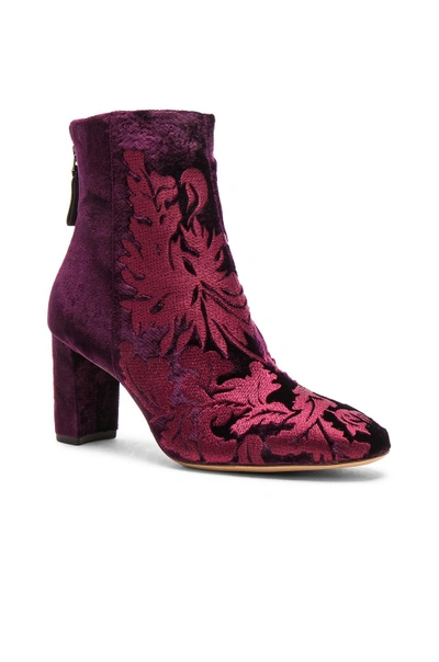 Shop Alexandre Birman Velvet Regina Boots In Red,purple