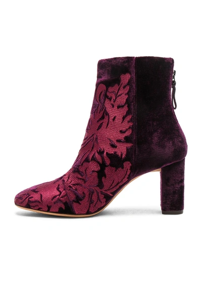 Shop Alexandre Birman Velvet Regina Boots In Red,purple