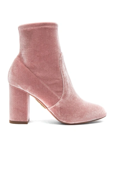 Shop Aquazzura Velvet So Me Booties In Pink