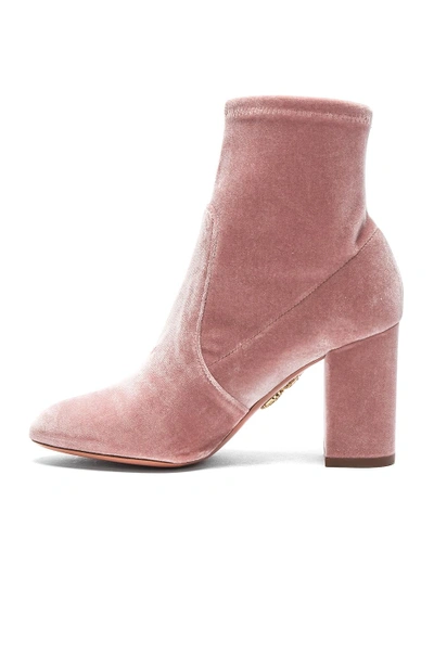 Shop Aquazzura Velvet So Me Booties In Pink