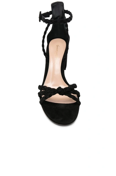 Shop Gianvito Rossi Braided Suede Liya Sandals In Black