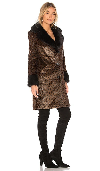 Shop Eaves X Revolve Emmie Faux Fur Coat In Brown