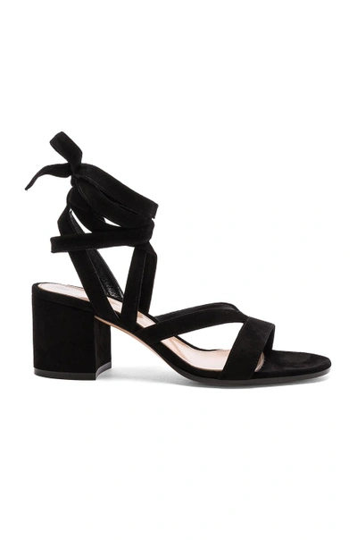 Shop Gianvito Rossi Suede Janis Low Sandals In Black