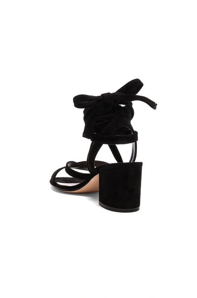 Shop Gianvito Rossi Suede Janis Low Sandals In Black