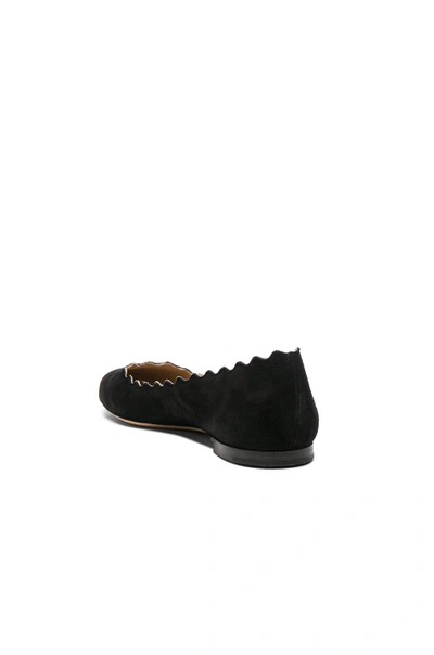 Shop Chloé Chloe Suede Lauren Flats In Black