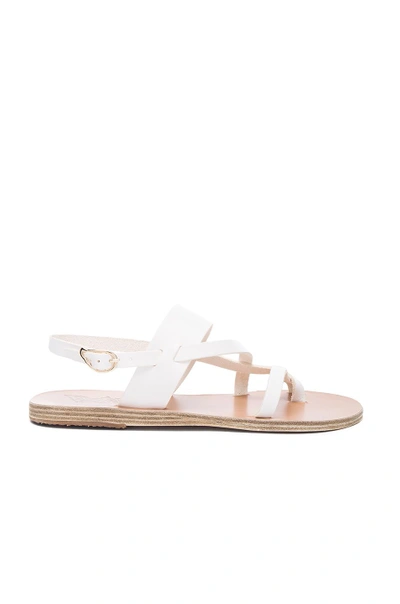 Shop Ancient Greek Sandals Alethea Leather Sandals In White