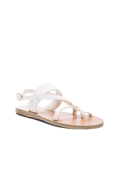Shop Ancient Greek Sandals Alethea Leather Sandals In White