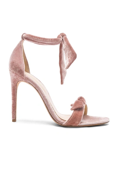 Shop Alexandre Birman Velvet Clarita Heels In Pink