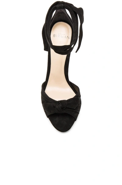 Shop Alexandre Birman Suede New Clarita Heels In Black