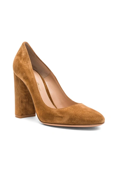 Shop Gianvito Rossi Suede Chunky Heels In Brown